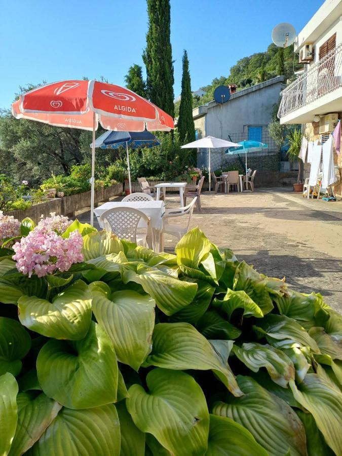 Apartments Andjus Sveti Stefan Exterior foto